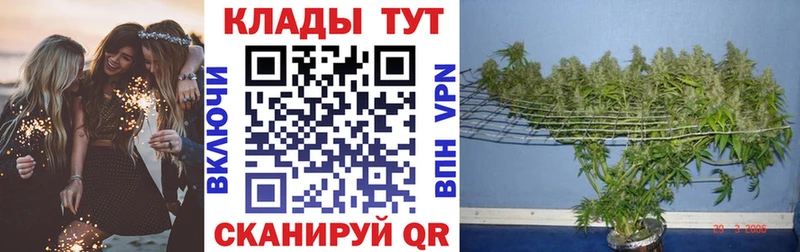 Виды наркоты Сафоново Амфетамин  OMG ссылка  Меф  Гашиш  Cocaine  МАРИХУАНА 