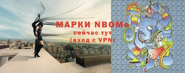 хмурый Алзамай