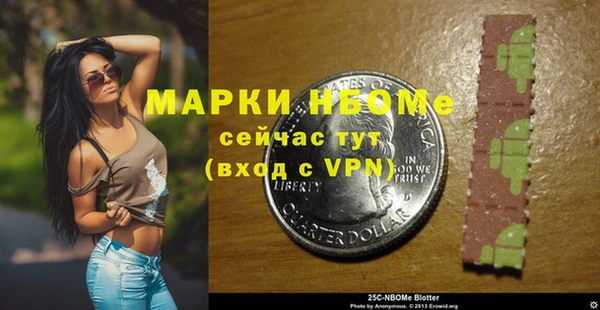 хмурый Алзамай