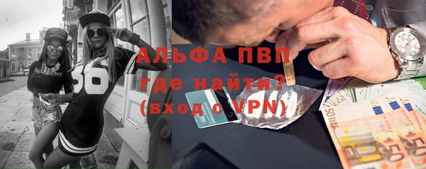 хмурый Алзамай