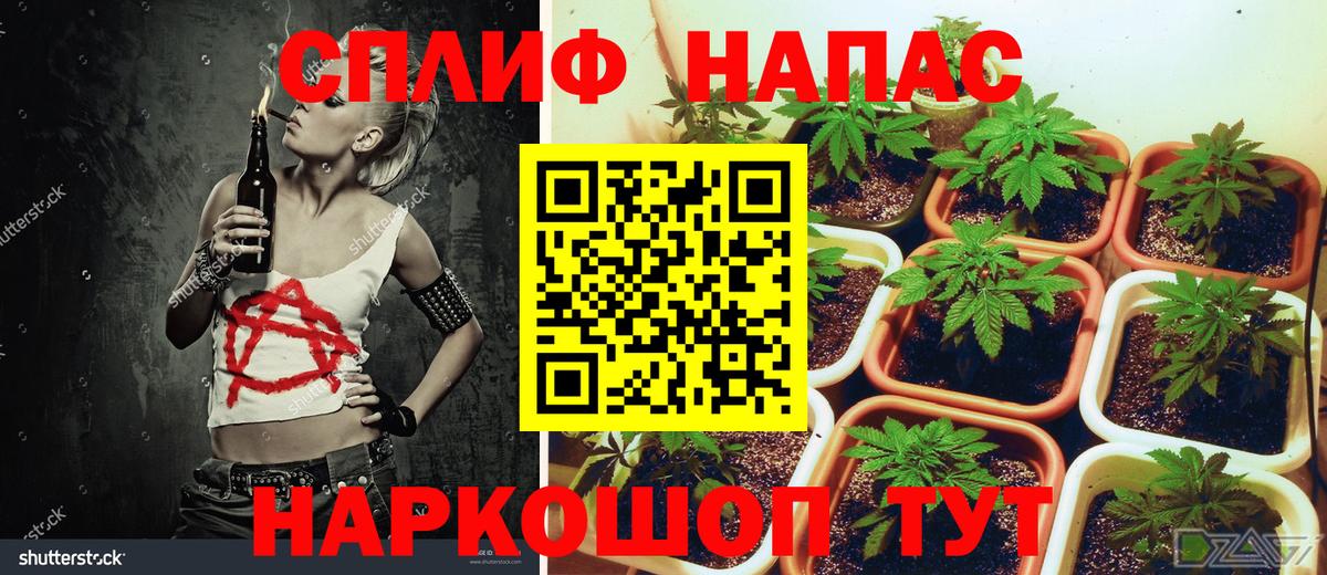 Сафоново  Бошки марихуана индика  Вход с VPN  Бошки Шишки White Widow  Бошки марихуана тримм 